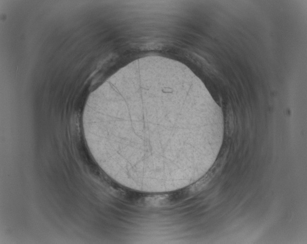 X0000076220172200611161008
