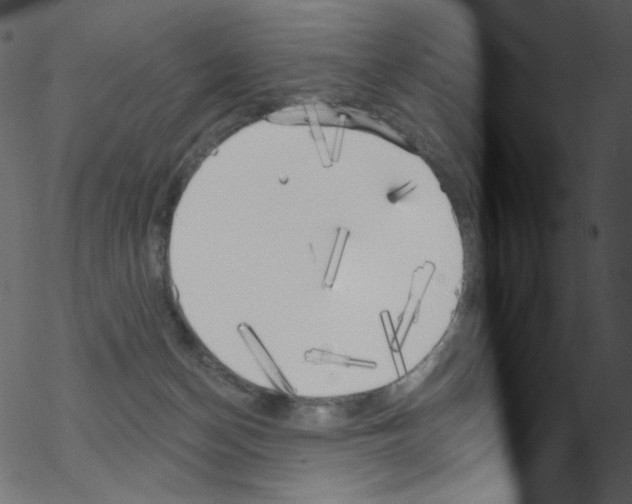 X0000076220174200611161008