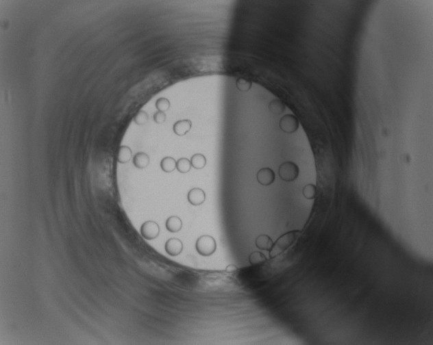 X0000076220175200611161008