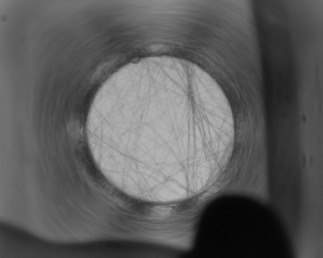 X0000076220176200611161008