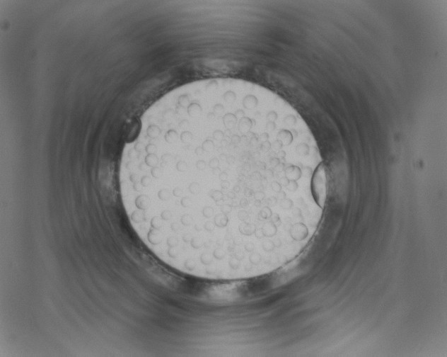 X0000076220178200611161008
