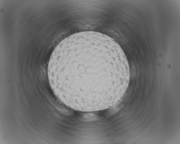 X0000076220183200611161008
