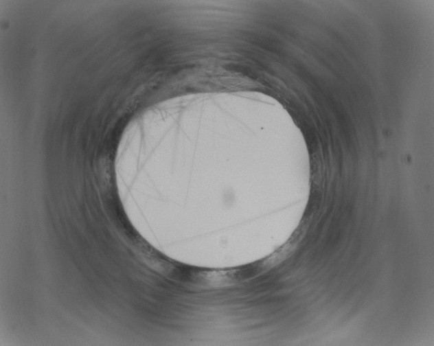 X0000076220184200611161008