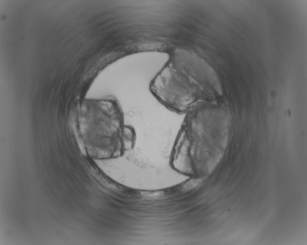 X0000076220185200611161008