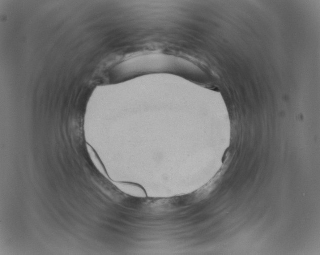 X0000076220186200611161008