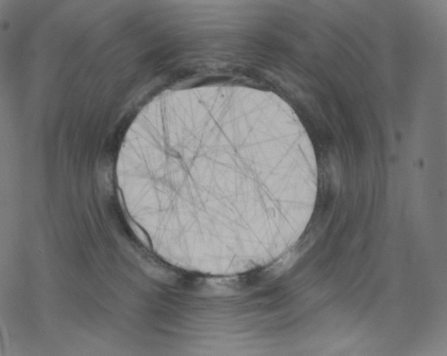 X0000076220188200611161008