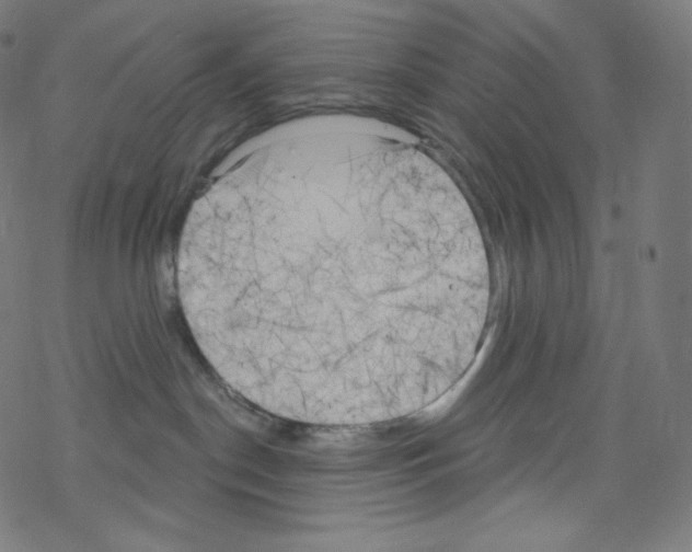 X0000076220190200611161008