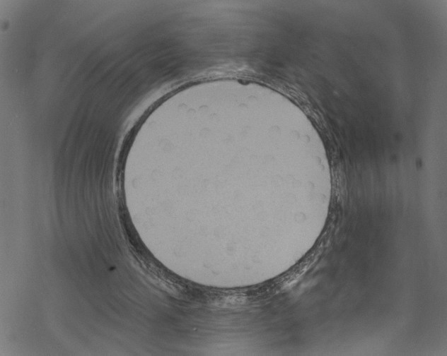 X0000076220196200611161008