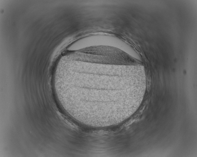 X0000076220197200611161008