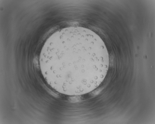 X0000076220238200611161007
