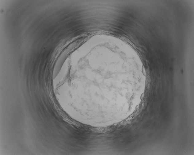 X0000076220241200611161006