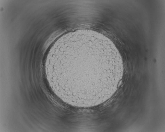 X0000076220242200611161006