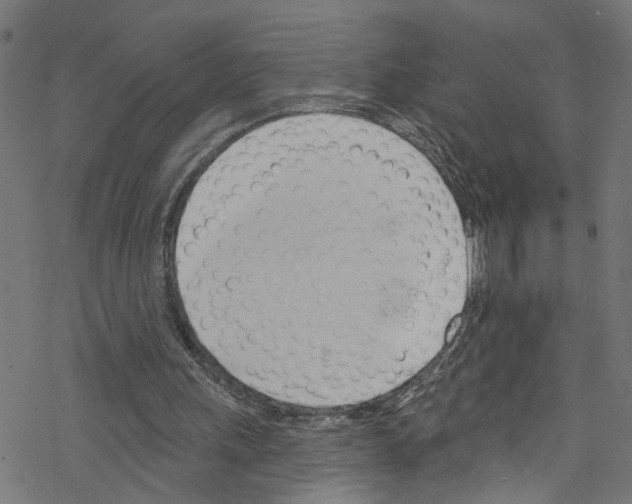 X0000076220243200611161006