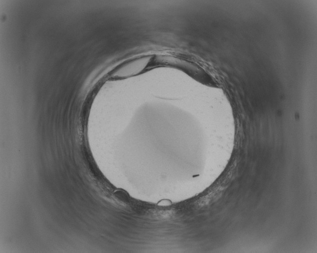 X0000076220247200611161006
