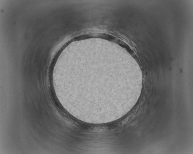 X0000076220248200611161006