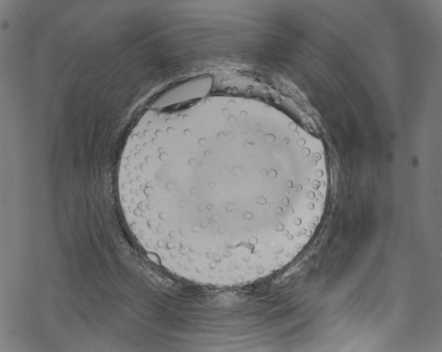 X0000076220249200611161006