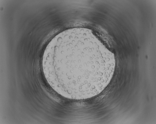 X0000076220250200611161006