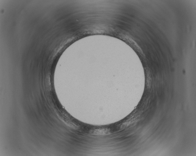 X0000076220251200611161006
