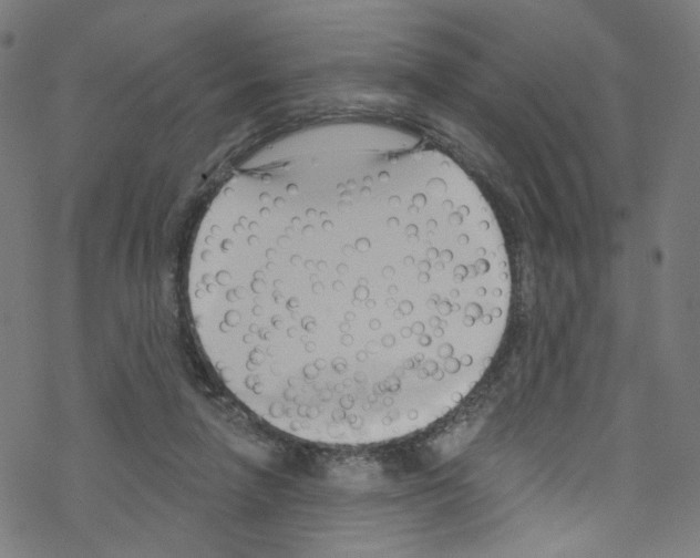 X0000076220258200611161006