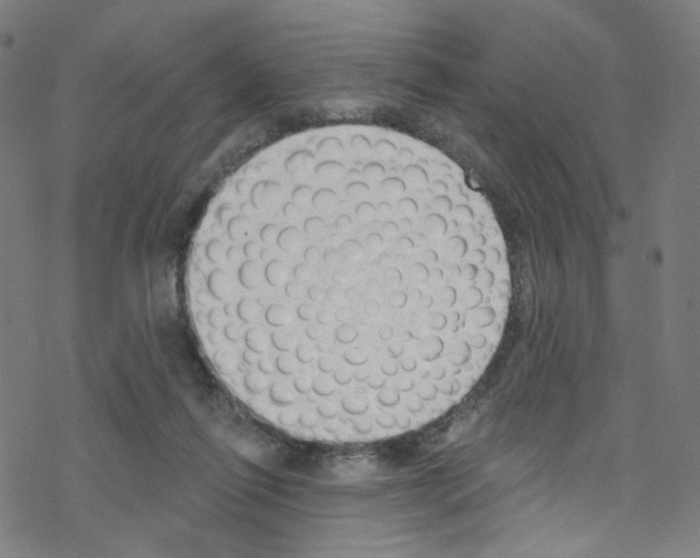 X0000076220262200611161006