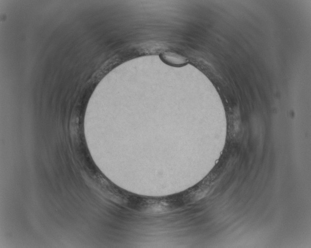 X0000076220263200611161006
