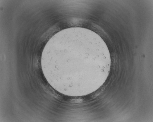X0000076220266200611161006