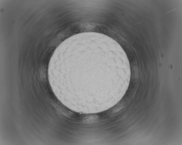 X0000076220274200611161007