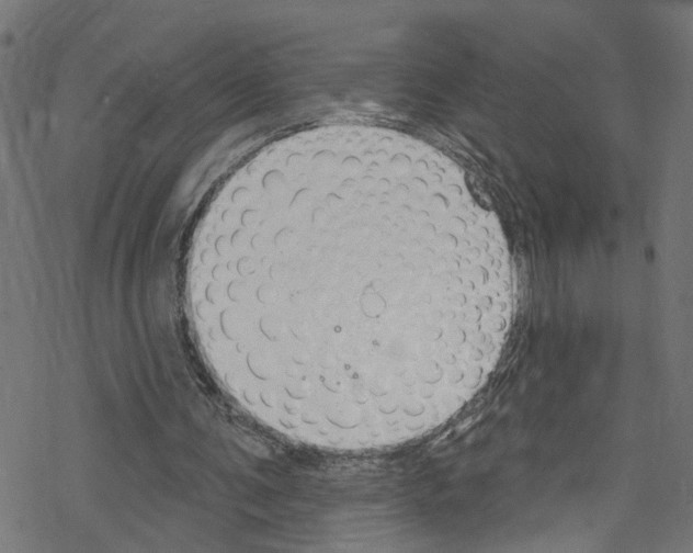 X0000076220291200611161006