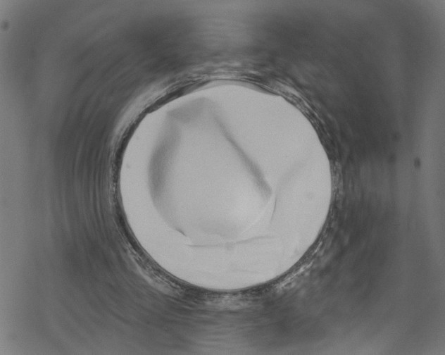 X0000076220293200611161006