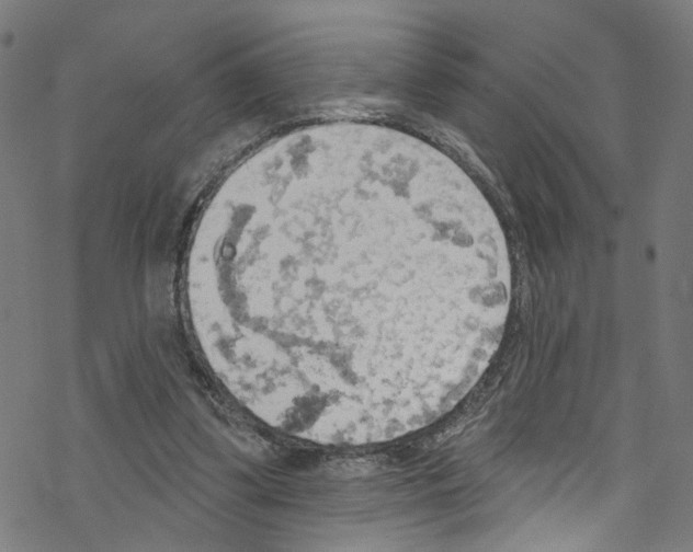 X0000076220299200611161006