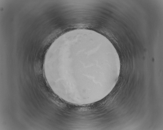 X0000076220303200611161006