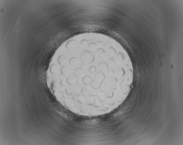 X0000076220307200611161006
