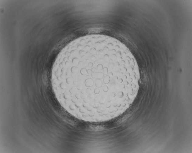 X0000076220311200611161006