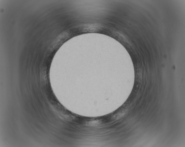 X0000076220312200611161006