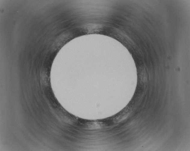 X0000076220316200611161006