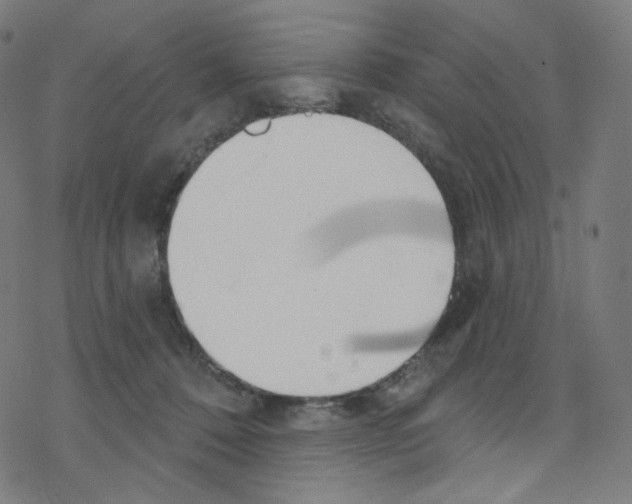 X0000076220320200611161005