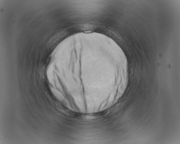 X0000076220325200611161005
