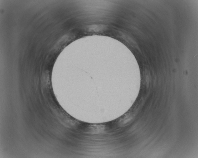 X0000076220328200611161005