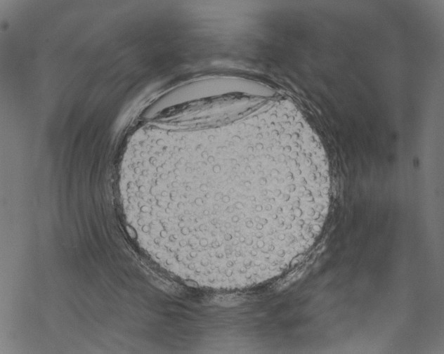 X0000076220341200611161005