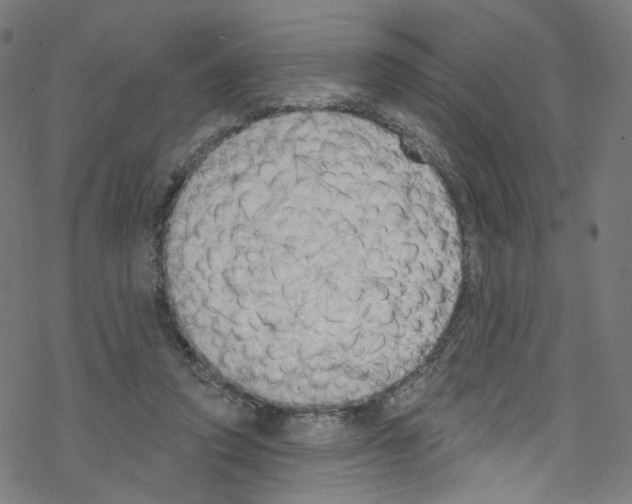 X0000076220354200611161005