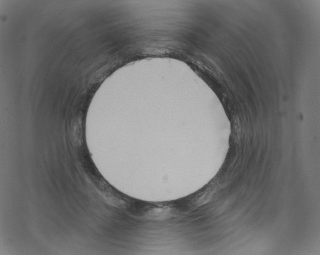 X0000076220364200611161005
