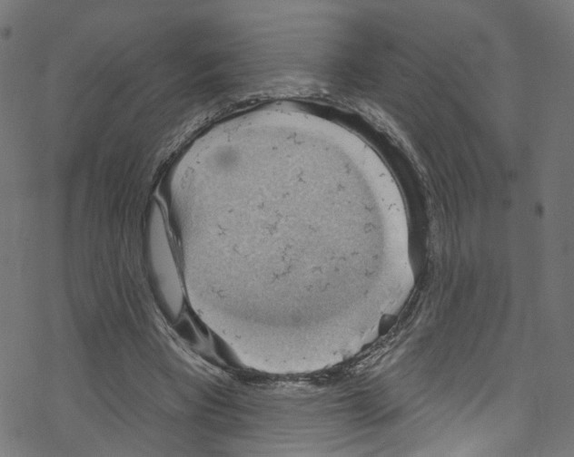X0000076220393200611161004
