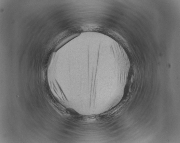 X0000076220405200611161004