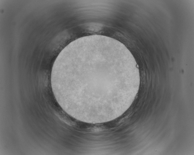 X0000076220412200611161004