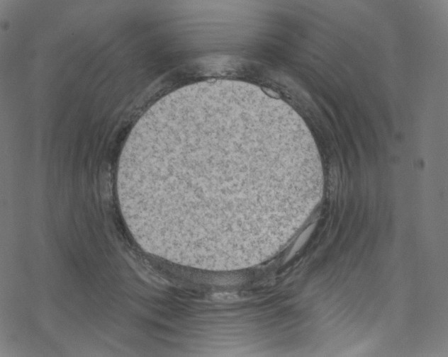 X0000076220413200611161004