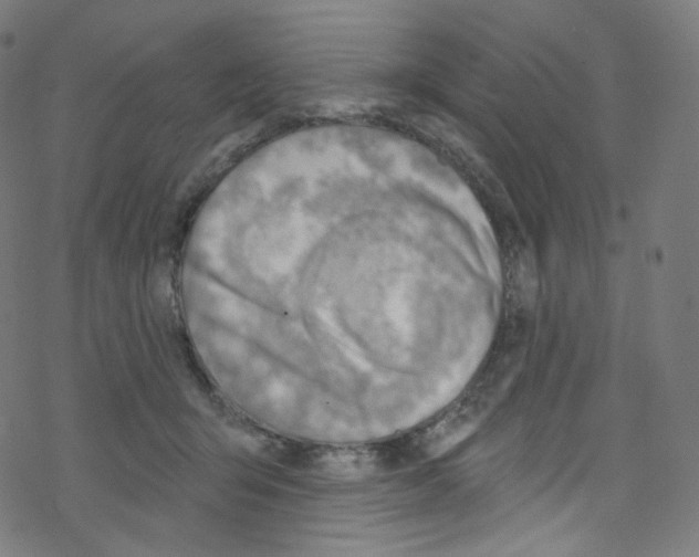 X0000076220415200611161004