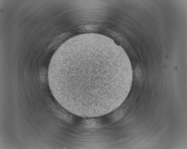 X0000076220423200611161004