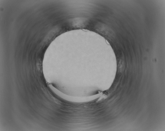 X0000076220424200611161004