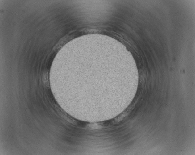 X0000076220425200611161004