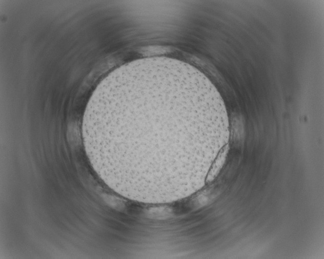 X0000076220426200611161004